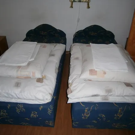 Vandor Vigado Bed & Breakfast Zalaegerszeg